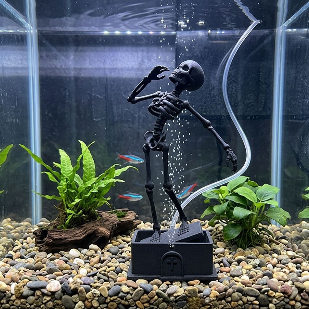 Air Pump Driven Dancing Skelet - Aquarium & Marine Museum Universiti Malaysia Sabah Kota Kinabalu Sabah Photos recension och pris