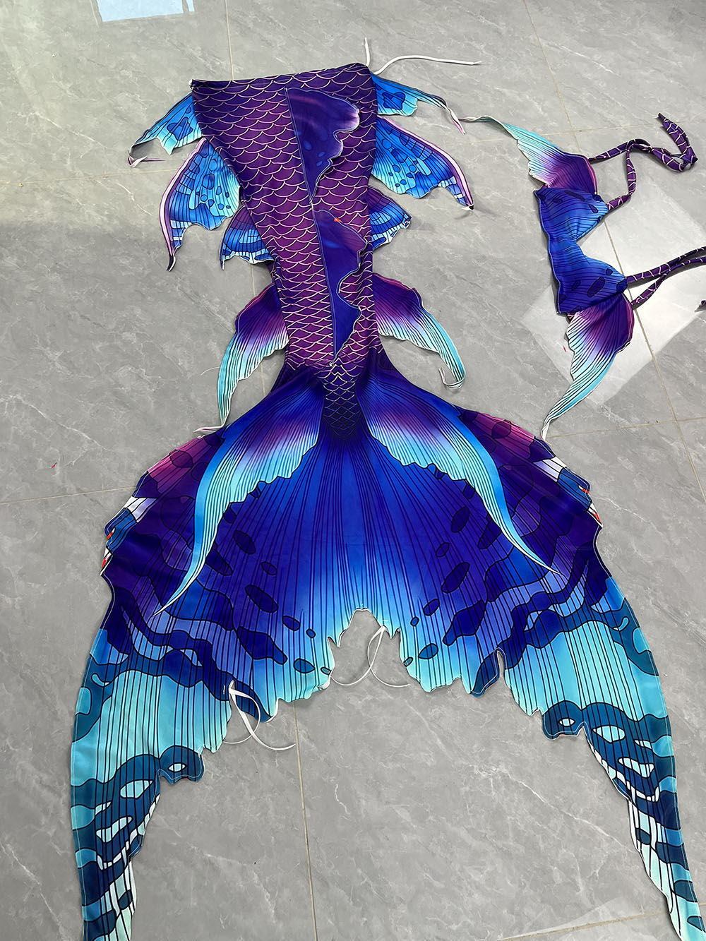 Colorful Dreamy Mermaid Tail A - Aquarium & Marine Museum Universiti Malaysia Sabah Kota Kinabalu Sabah Photos recension och pris