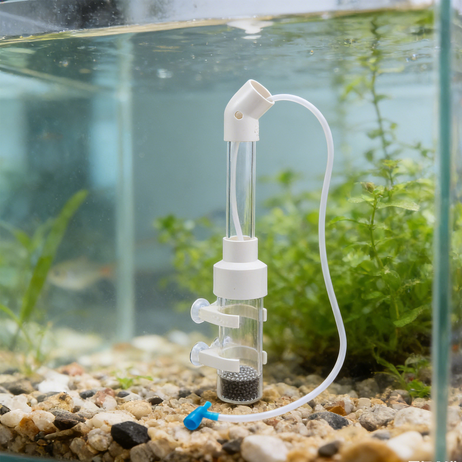 2Sets Fish Egg Incubator Kit A - Aquarium & Marine Museum Universiti Malaysia Sabah Kota Kinabalu Sabah Photos recension och pris